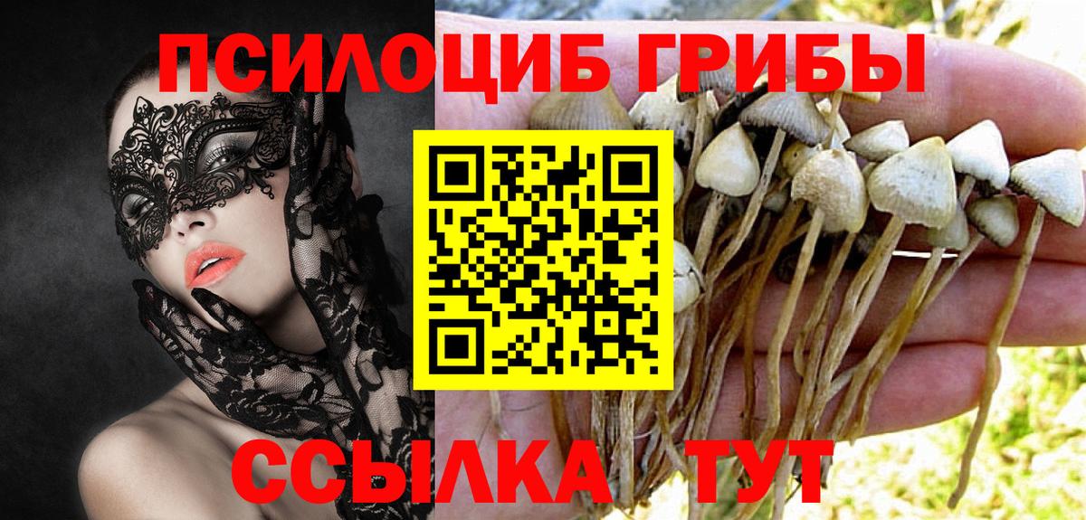 Псилоцибиновые грибы GOLDEN TEACHER  Вход с VPN  Псилоцибиновые грибы Magic Shrooms  Кумертау 